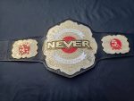 Never openweigt champion