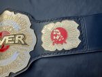 Never openweigt champion - Image 2