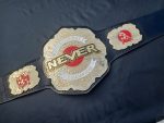 Never openweigt champion - Image 3