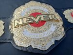 Never openweigt champion - Image 4