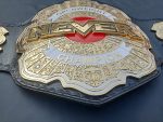 Never openweigt champion - Image 5