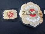 Never openweigt champion - Image 6