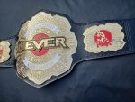 Never openweigt champion - Image 7