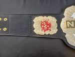 Never openweigt champion - Image 9