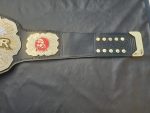 Never openweigt champion - Image 10